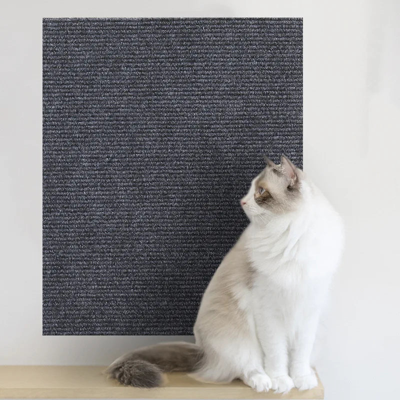 Fellvora Prestige Cat™