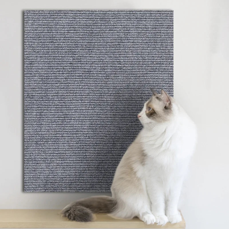 Fellvora Prestige Cat™