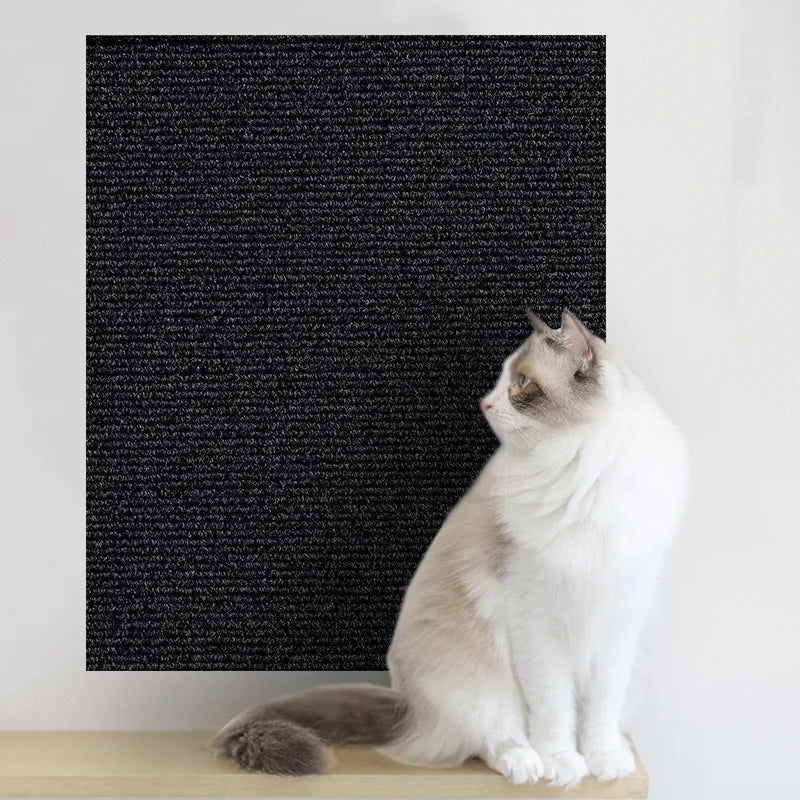 Fellvora Prestige Cat™